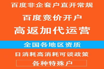 百度推广实战：案例分享与数据解读
